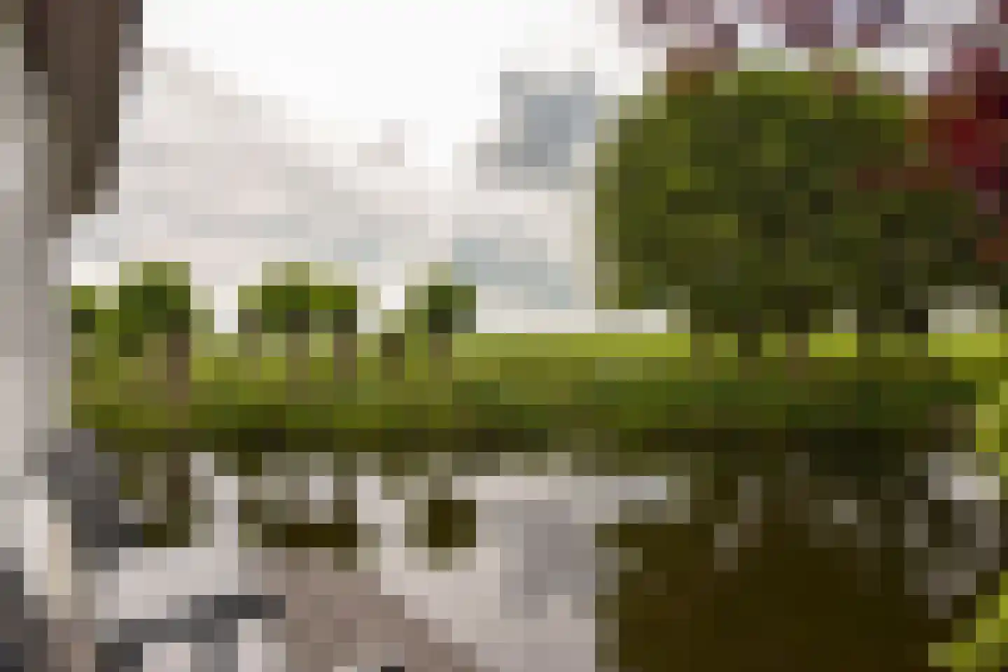 Watertuin 50 Wilnis thumbnail 44