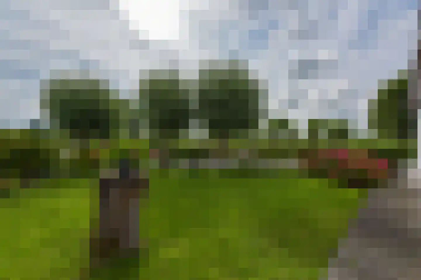 Watertuin 50 Wilnis thumbnail 45