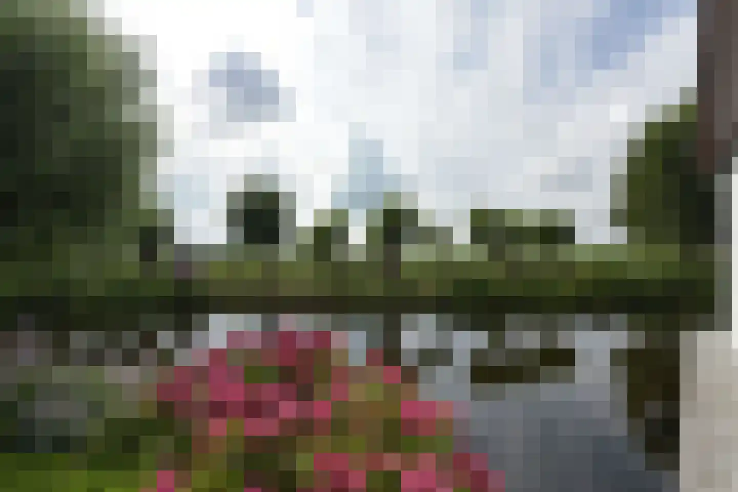 Watertuin 50 Wilnis thumbnail 51