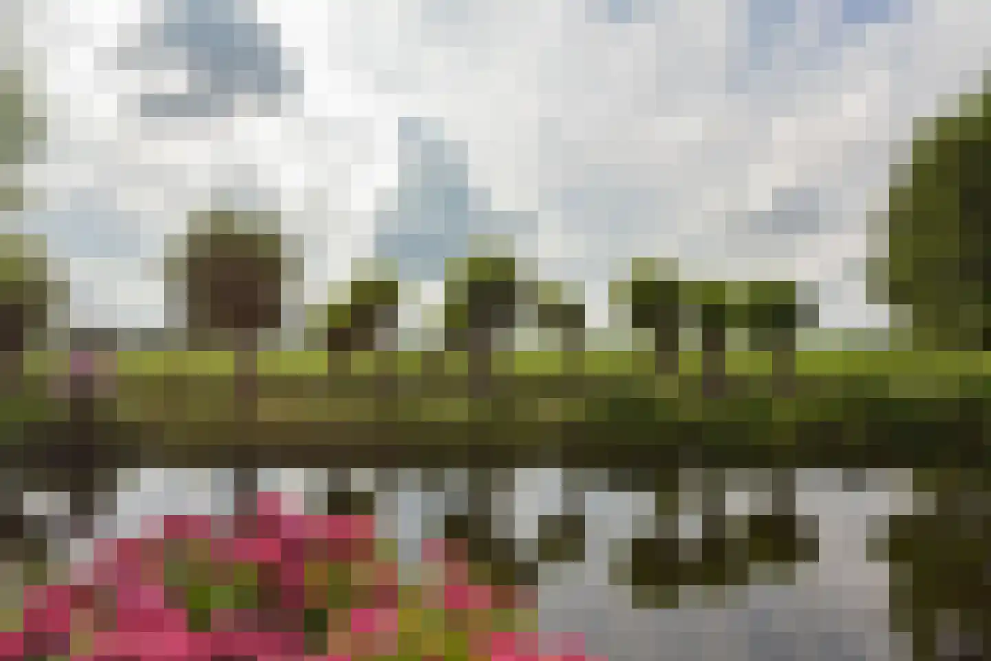 Watertuin 50 Wilnis thumbnail 52