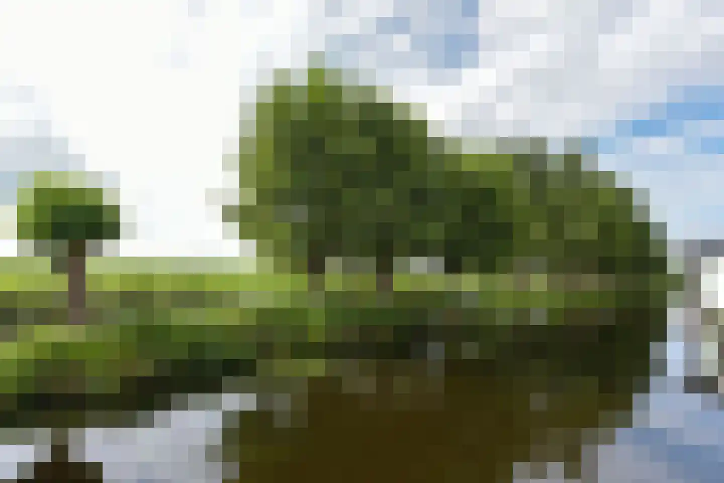 Watertuin 50 Wilnis thumbnail 53