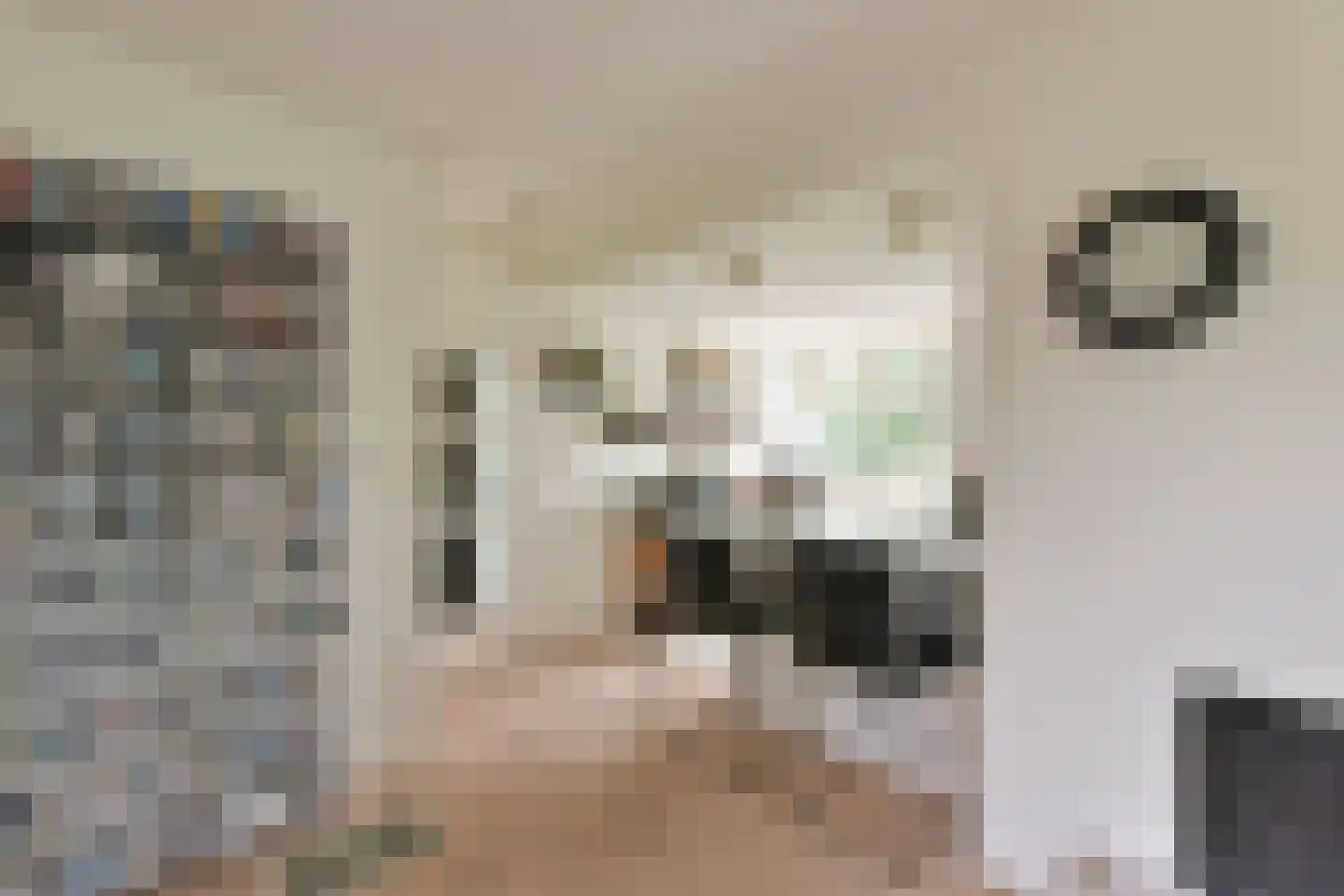 Watertuin 50 Wilnis thumbnail 8