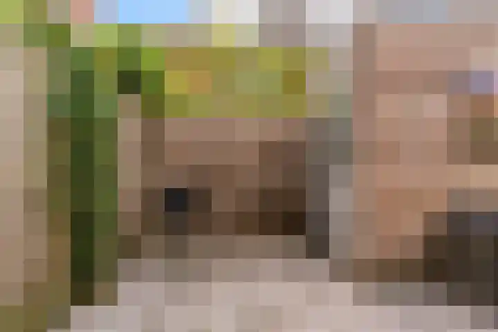 Watertuinlaan 18 Vleuten thumbnail 28