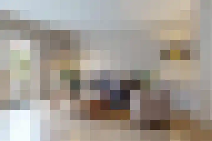 Watertuinlaan 18 Vleuten thumbnail 7