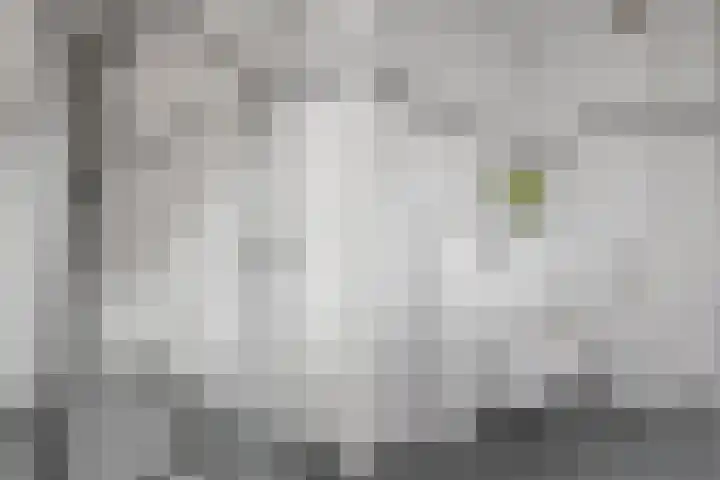 Watertuinlaan 8 Vleuten thumbnail 22