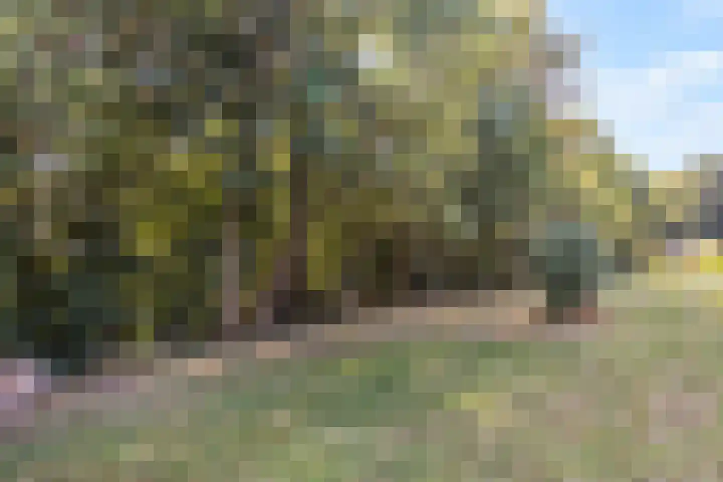 Waterval 12 Ulestraten thumbnail 27