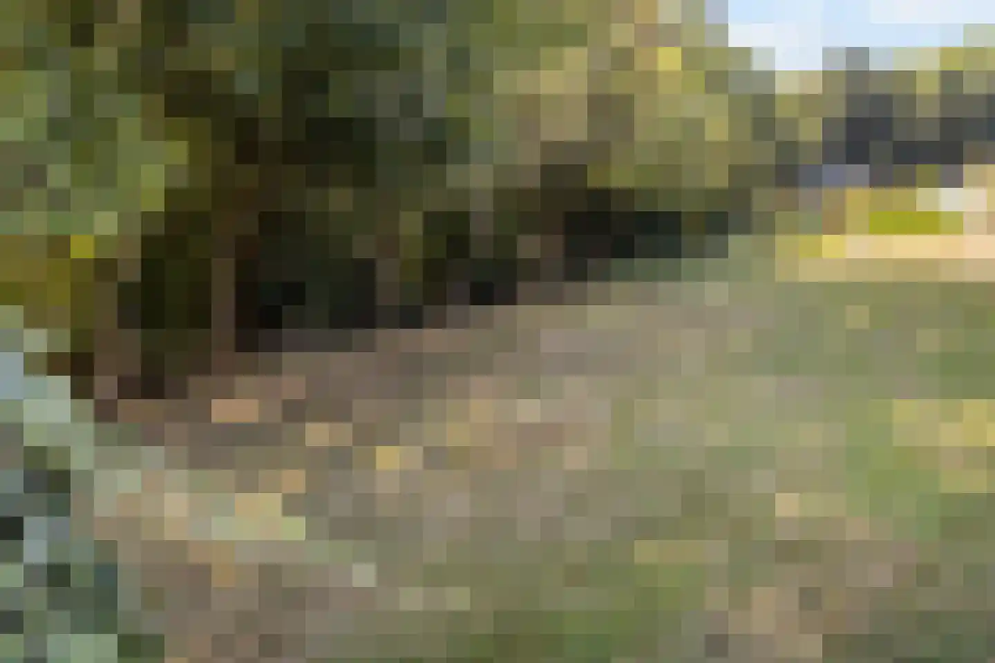 Waterval 12 Ulestraten thumbnail 28