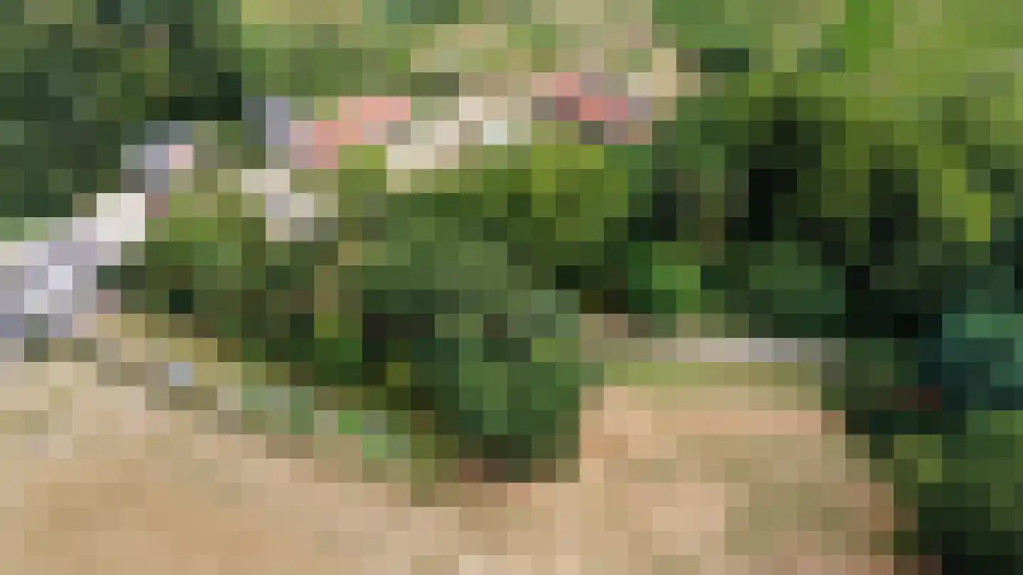 Waterval 12 Ulestraten foto 3