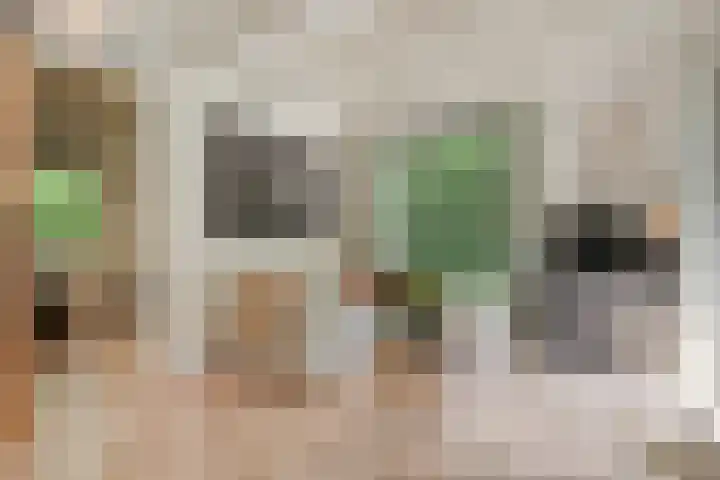 Waterveensweg 6 Oosterhesselen thumbnail 13