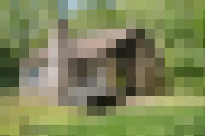 Waterveensweg 6 Oosterhesselen thumbnail 19