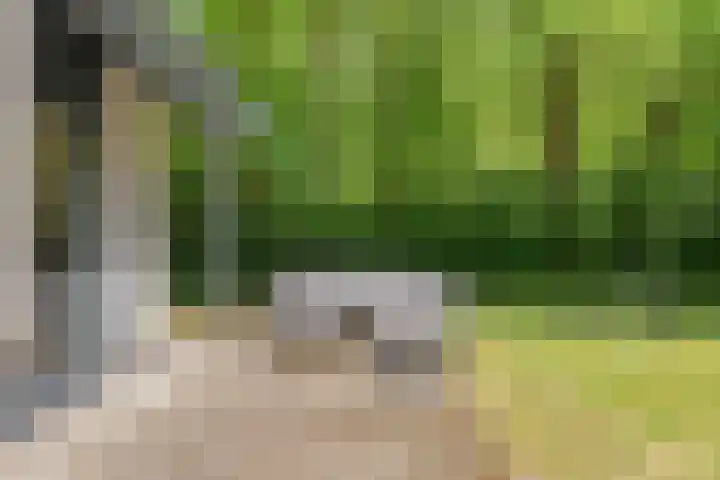 Waterveensweg 6 Oosterhesselen thumbnail 20