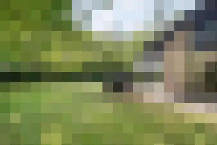 Waterveensweg 6 Oosterhesselen thumbnail 21