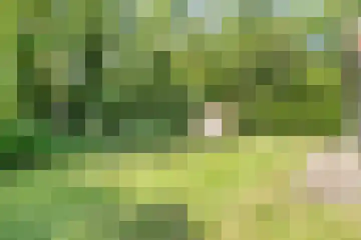Waterveensweg 6 Oosterhesselen thumbnail 22