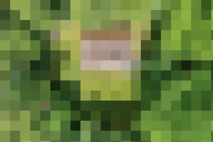 Waterveensweg 6 Oosterhesselen thumbnail 23