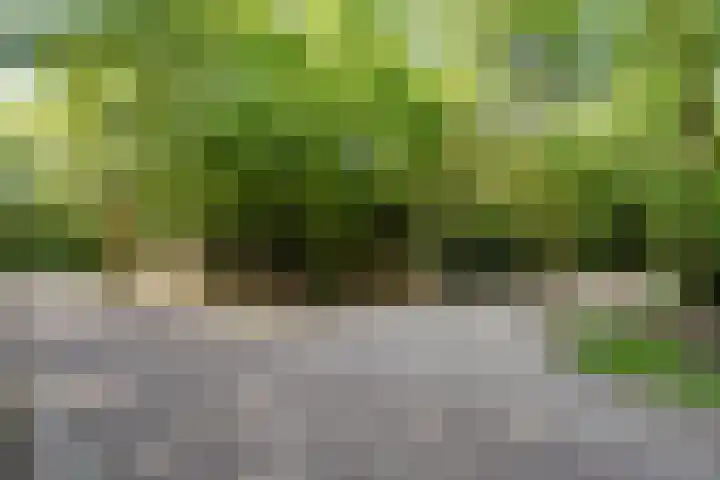 Waterveensweg 6 Oosterhesselen thumbnail 24