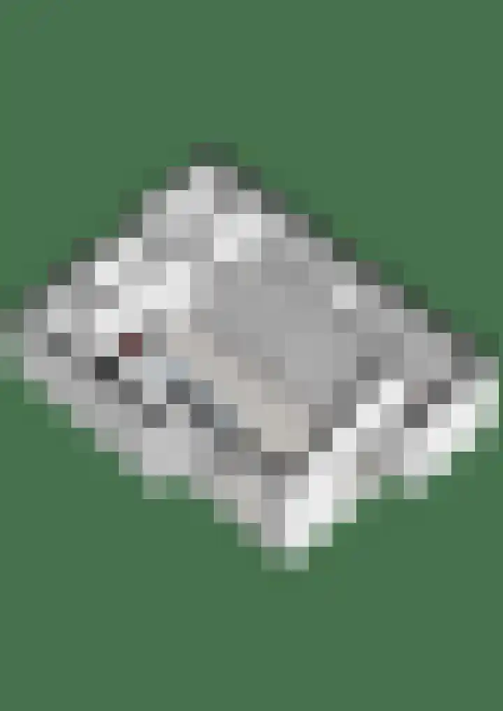 Waterveensweg 6 Oosterhesselen thumbnail 26