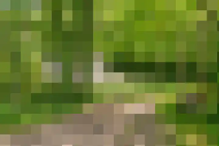 Waterveensweg 6 Oosterhesselen thumbnail 4