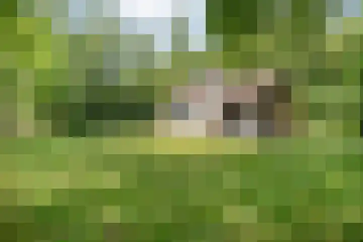 Waterveensweg 6 Oosterhesselen thumbnail 5