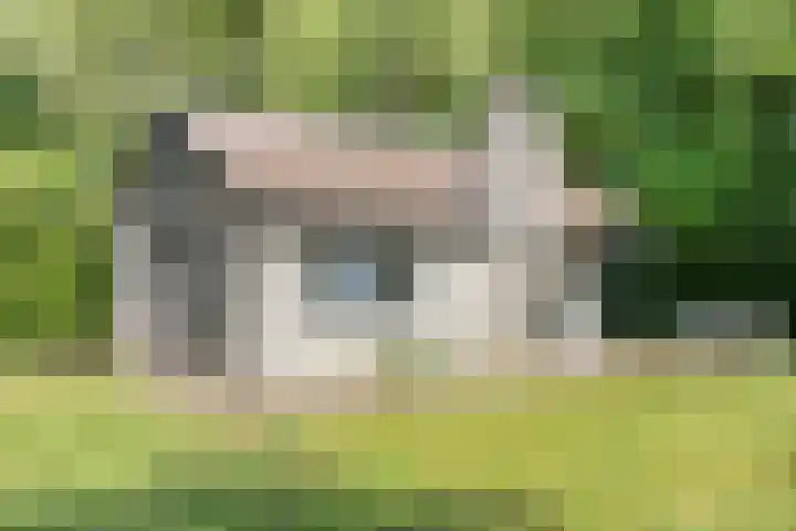 Waterveensweg 6 Oosterhesselen thumbnail 6