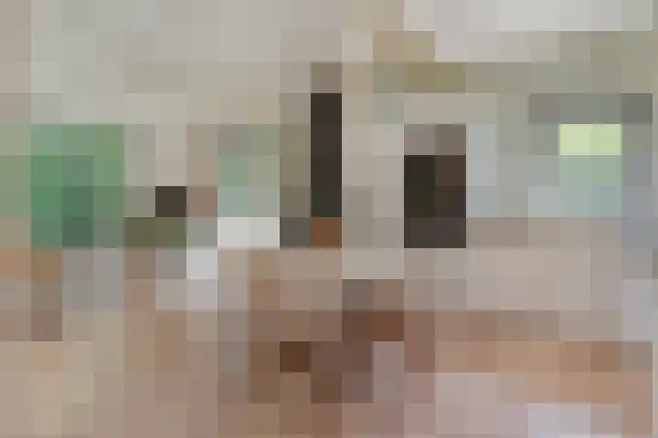 Waterveensweg 6 Oosterhesselen thumbnail 9