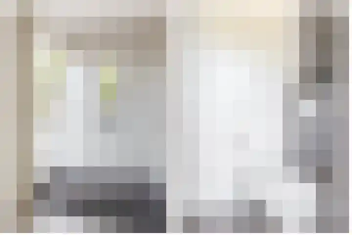 Waterviolier 1 a Schoonhoven thumbnail 10