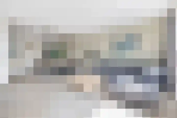 Waterviolier 1 a Schoonhoven thumbnail 12
