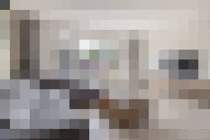 Waterviolier 1 a Schoonhoven thumbnail 13