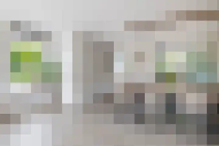 Waterviolier 1 a Schoonhoven thumbnail 14