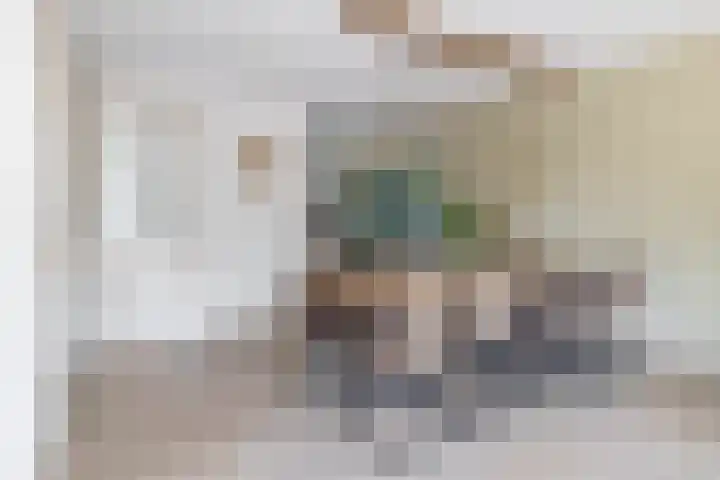 Waterviolier 1 a Schoonhoven thumbnail 15
