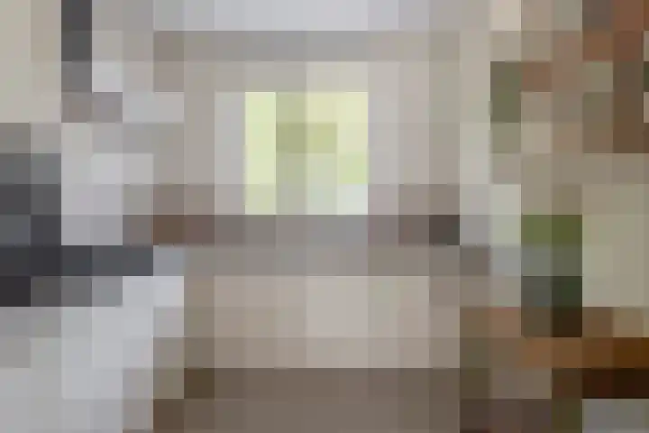 Waterviolier 1 a Schoonhoven thumbnail 17