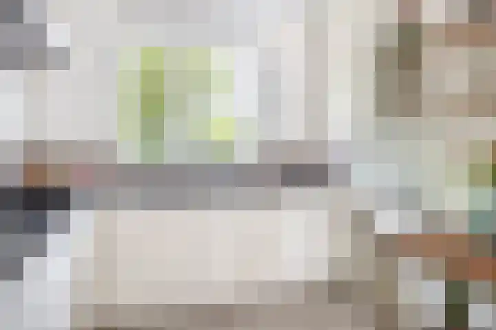 Waterviolier 1 a Schoonhoven thumbnail 18