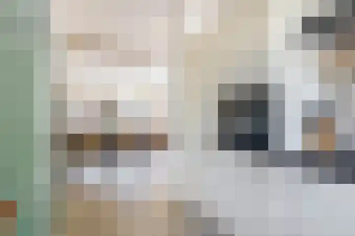 Waterviolier 1 a Schoonhoven thumbnail 19