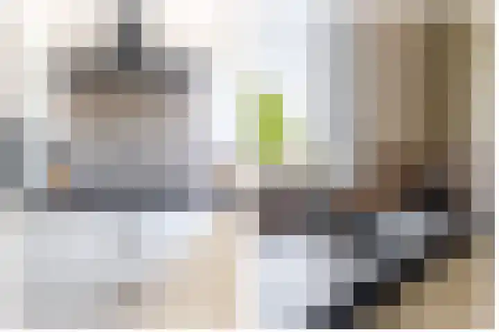 Waterviolier 1 a Schoonhoven thumbnail 20