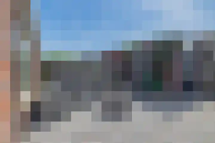 Waterviolier 1 a Schoonhoven thumbnail 21