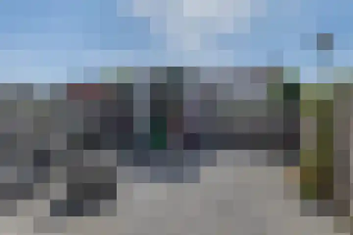 Waterviolier 1 a Schoonhoven thumbnail 22