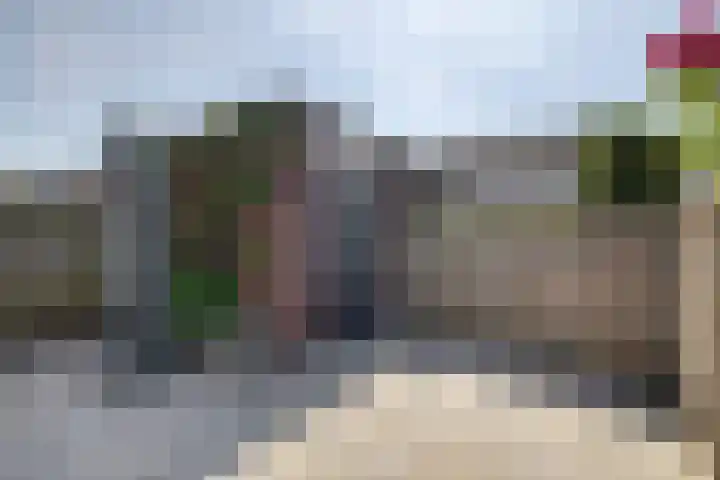 Waterviolier 1 a Schoonhoven thumbnail 23