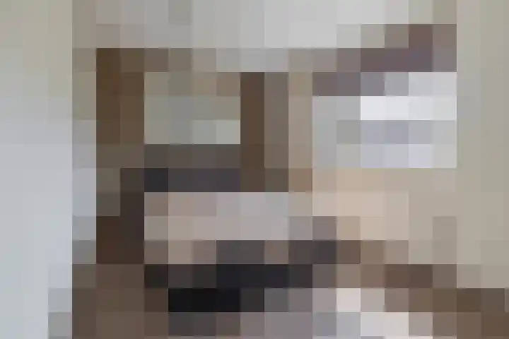 Waterviolier 1 a Schoonhoven thumbnail 27