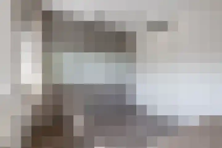 Waterviolier 1 a Schoonhoven thumbnail 28