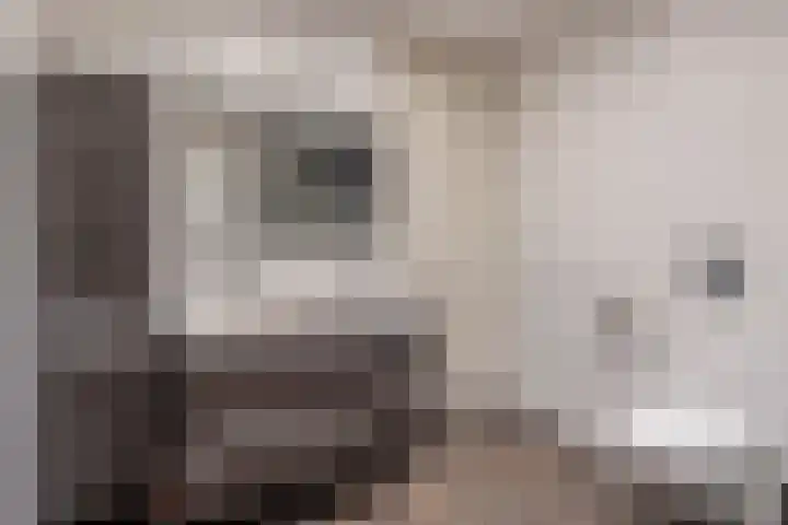 Waterviolier 1 a Schoonhoven thumbnail 29