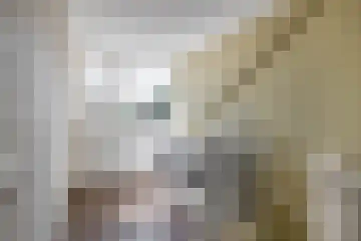 Waterviolier 1 a Schoonhoven thumbnail 35