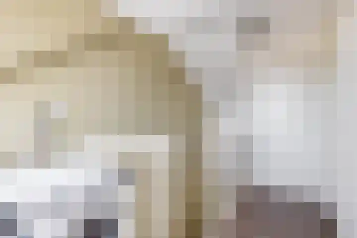 Waterviolier 1 a Schoonhoven thumbnail 36