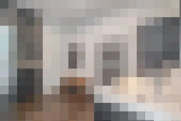 Waterviolier 1 a Schoonhoven thumbnail 4