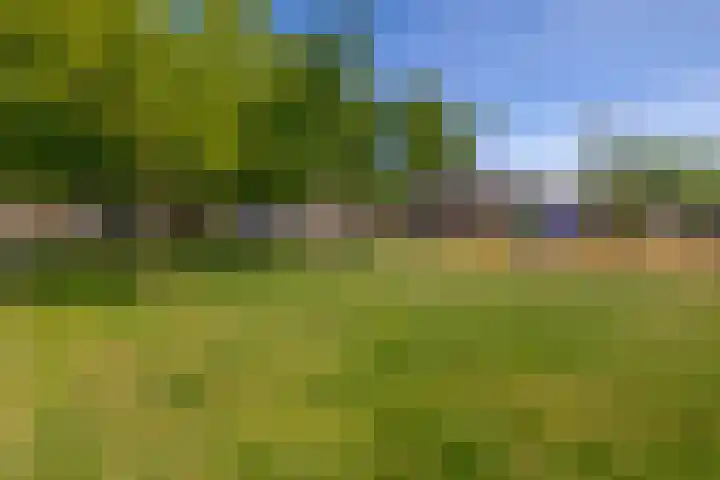 Waterviolier 1 a Schoonhoven thumbnail 40
