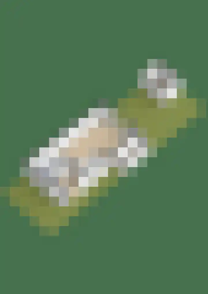 Waterviolier 1 a Schoonhoven thumbnail 43