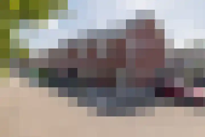 Waterviolier 1 a Schoonhoven thumbnail 5