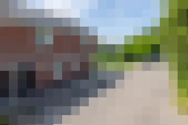 Waterviolier 1 a Schoonhoven thumbnail 6
