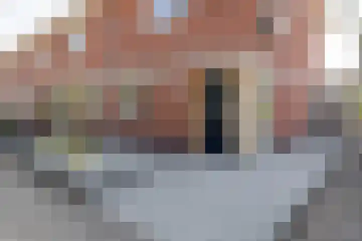Waterviolier 1 a Schoonhoven thumbnail 8