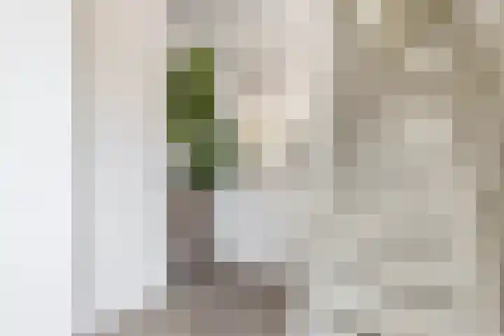 Waterviolier 1 a Schoonhoven thumbnail 9