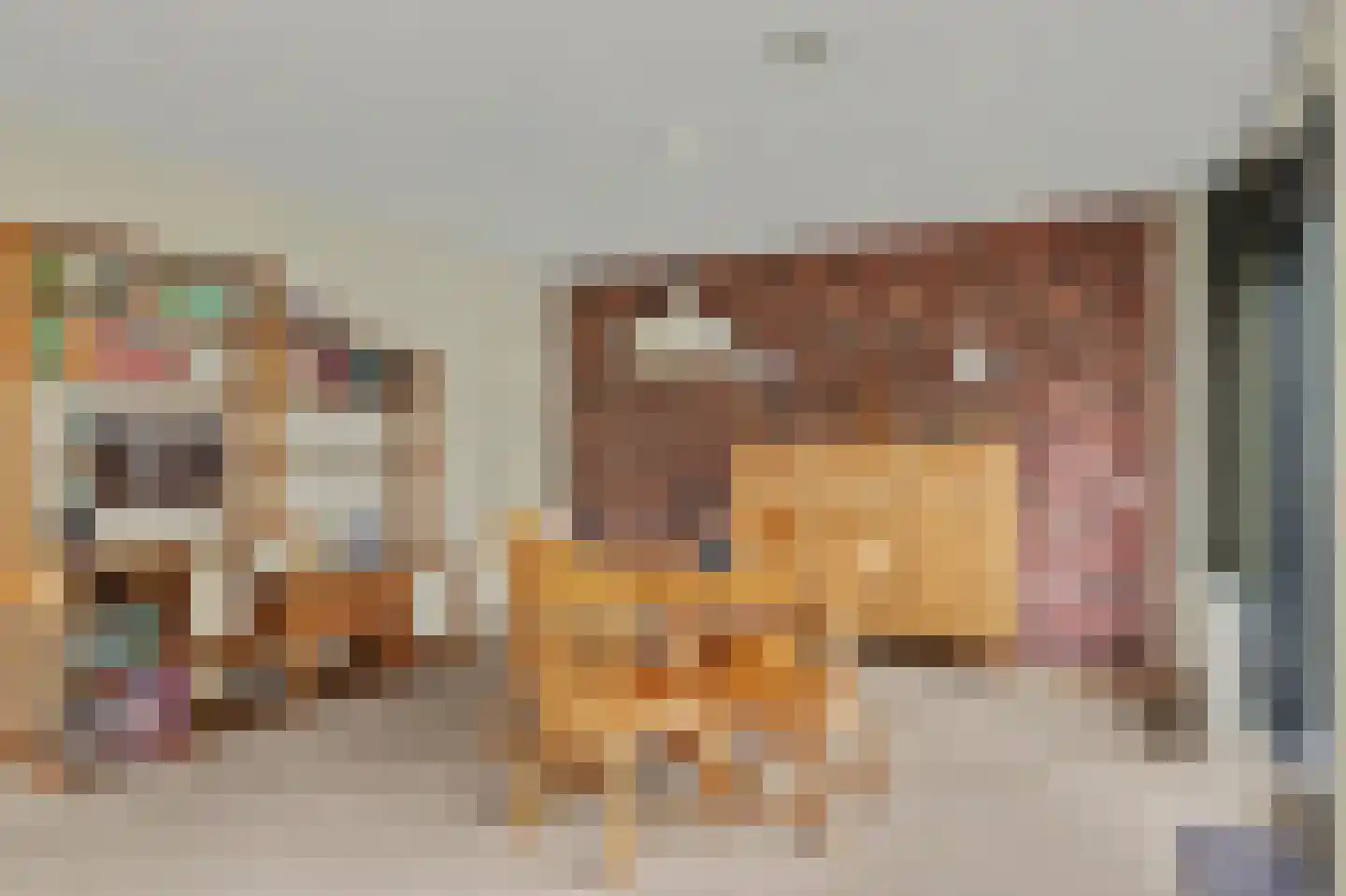 Waterviolier 10 Breda thumbnail 13