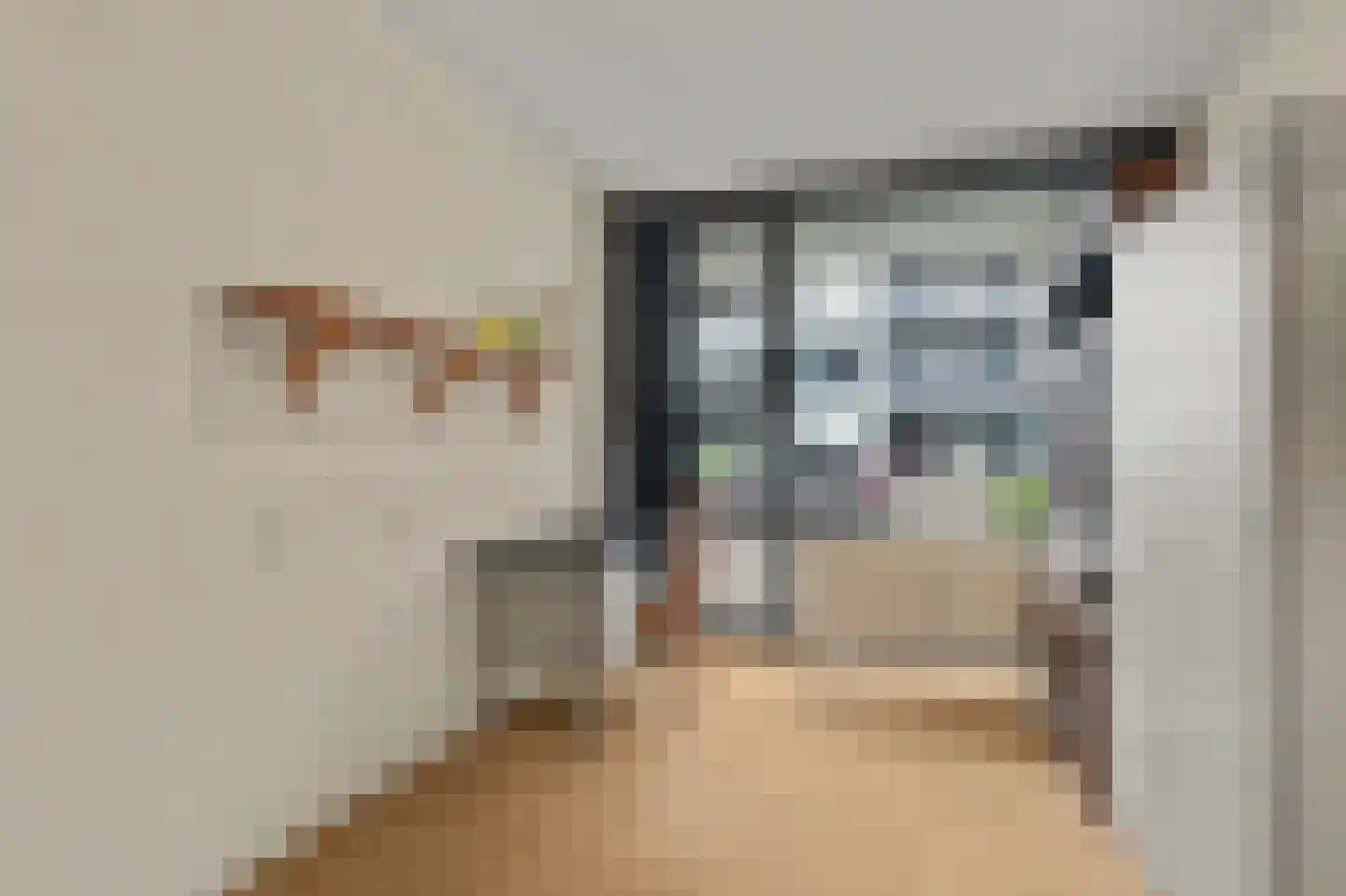 Waterviolier 10 Breda thumbnail 17